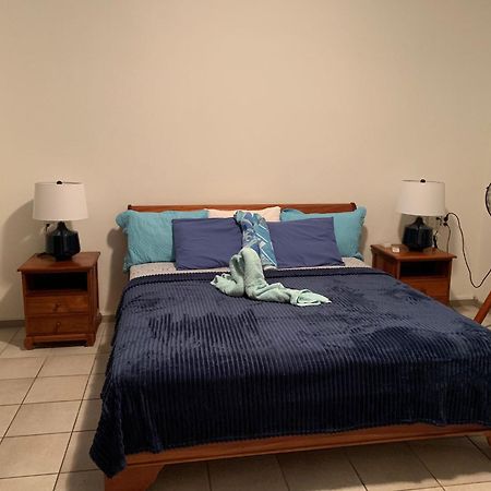 Royal Palm Resort Curacao Geweldig Zeezicht Willemstad Eksteriør bilde