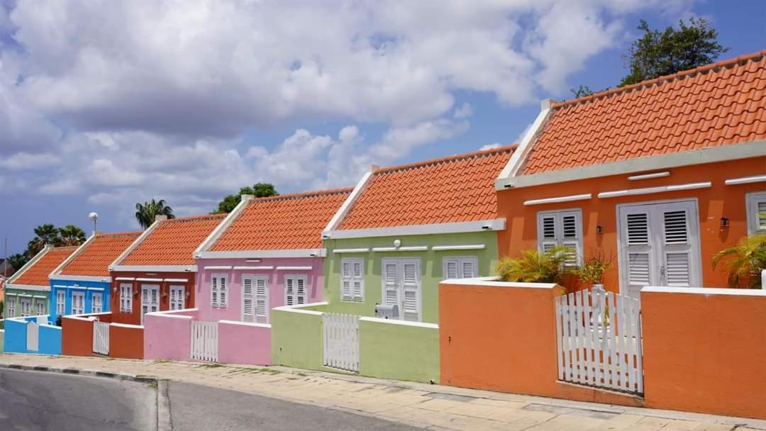 Royal Palm Resort Curacao Geweldig Zeezicht Willemstad Eksteriør bilde