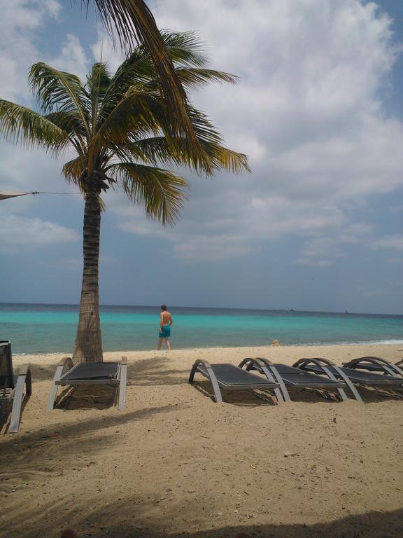 Royal Palm Resort Curacao Geweldig Zeezicht Willemstad Eksteriør bilde